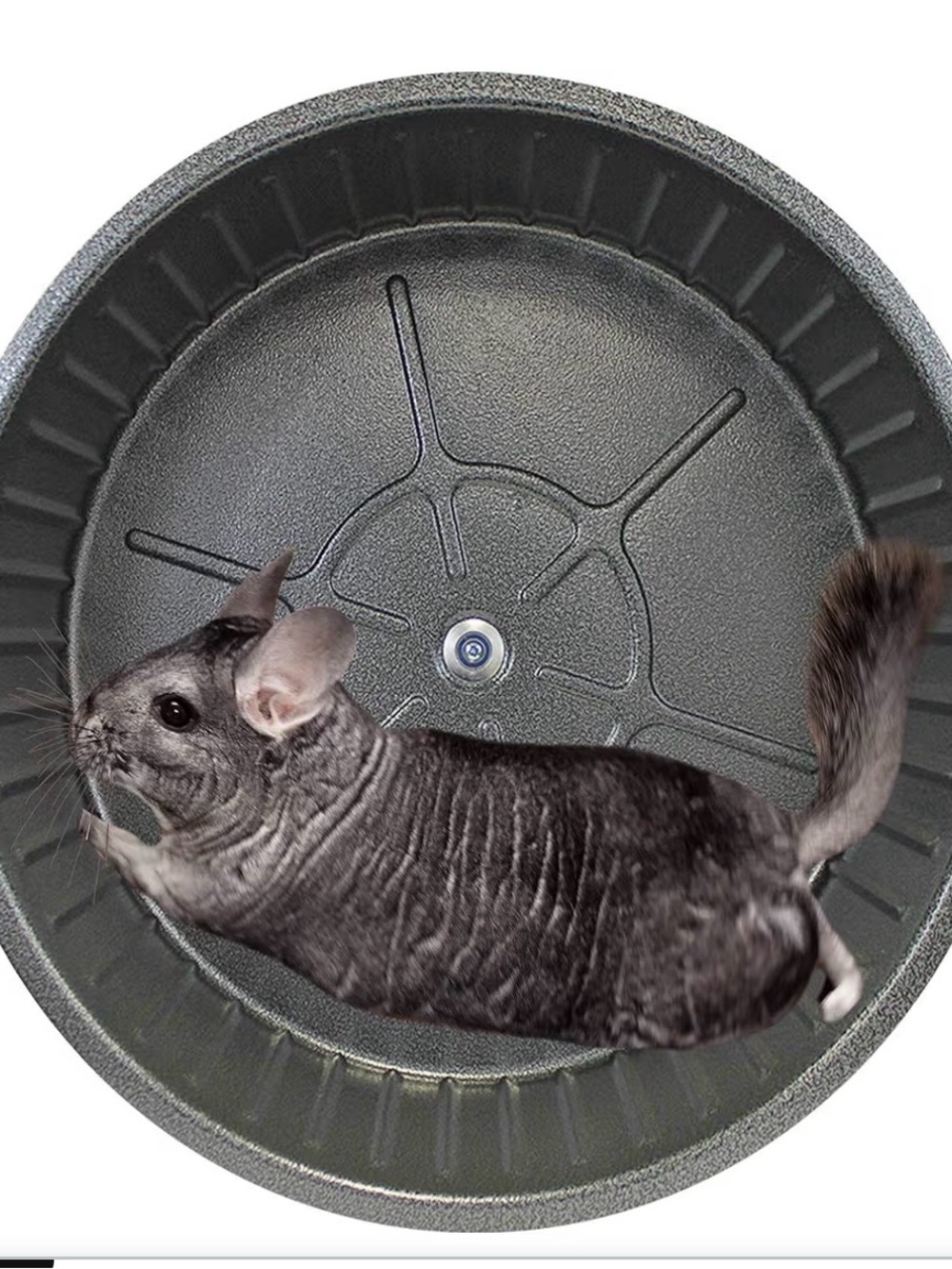 15’ Pet Exercise Wheel for Chinchillas and Small Pets Black